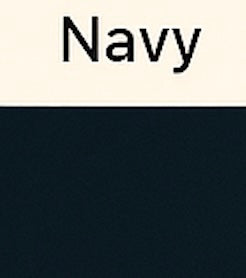 navy